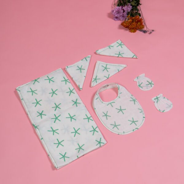 Aster Newborn Essential Cotton Set